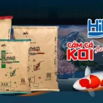 cám nào tốt cho cá koi