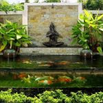 hồ cá koi nước trong