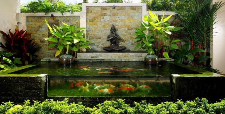 hồ cá koi nước trong